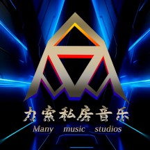 Dj力索音乐人头像